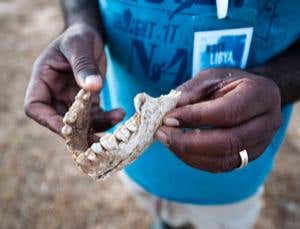 New Scientist. Science news and long reads from expert journalists, covering developments in science, technology, health and the environment on the website and the magazine.