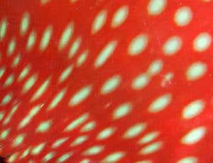 About time: Why does time's arrow fly only one way?