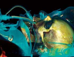 New Scientist. Science news and long reads from expert journalists, covering developments in science, technology, health and the environment on the website and the magazine.