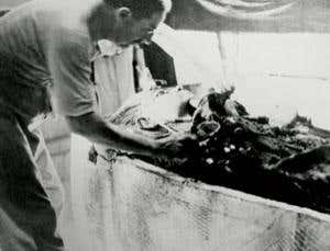 New twist in the tale of Tutankhamun's club foot