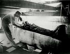 New Scientist. Science news and long reads from expert journalists, covering developments in science, technology, health and the environment on the website and the magazine.