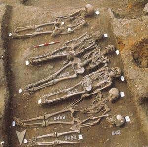 New Scientist. Science news and long reads from expert journalists, covering developments in science, technology, health and the environment on the website and the magazine.