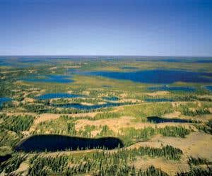 New Scientist. Science news and long reads from expert journalists, covering developments in science, technology, health and the environment on the website and the magazine.