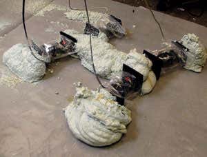 New Scientist. Science news and long reads from expert journalists, covering developments in science, technology, health and the environment on the website and the magazine.