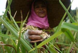 Climate unknown: How serious the threat to life is