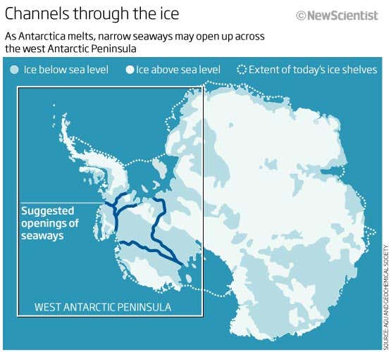 New Scientist. Science news and long reads from expert journalists, covering developments in science, technology, health and the environment on the website and the magazine.