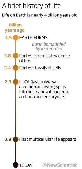 A brief history of life