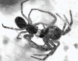 New Scientist. Science news and long reads from expert journalists, covering developments in science, technology, health and the environment on the website and the magazine.