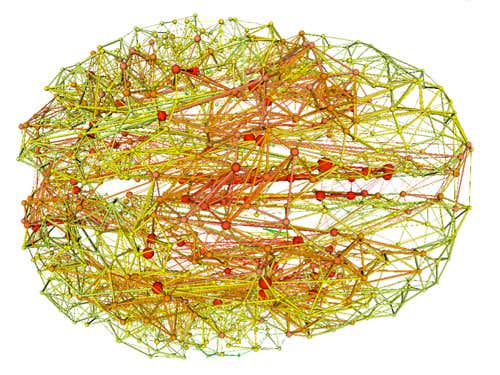 The connectome with its 12