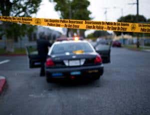 Crime algorithms target gangs of LA