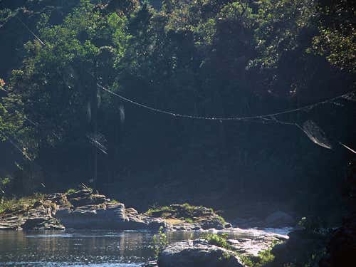 Zoologger: The biggest spider web in the world