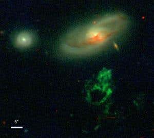 New Scientist. Science news and long reads from expert journalists, covering developments in science, technology, health and the environment on the website and the magazine.