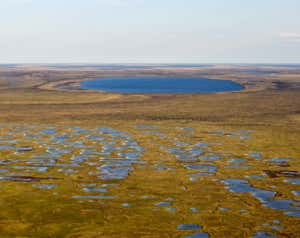 New Scientist. Science news and long reads from expert journalists, covering developments in science, technology, health and the environment on the website and the magazine.