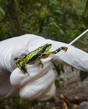 New Scientist. Science news and long reads from expert journalists, covering developments in science, technology, health and the environment on the website and the magazine.