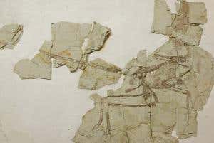 First evidence that dinosaurs ate birds