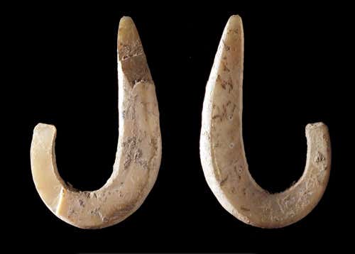 A complete shell fish hook from the Pleistocene levels of a cave site at the east end of Timor 