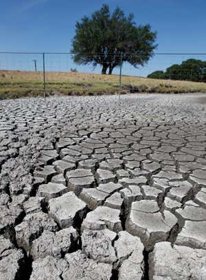New Scientist. Science news and long reads from expert journalists, covering developments in science, technology, health and the environment on the website and the magazine.