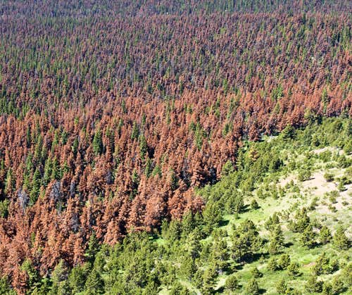 New Scientist. Science news and long reads from expert journalists, covering developments in science, technology, health and the environment on the website and the magazine.