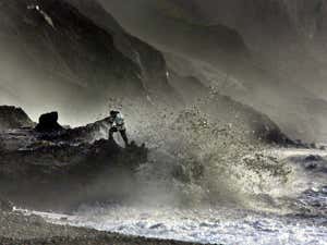 Artificial intelligence joins the fossil hunt