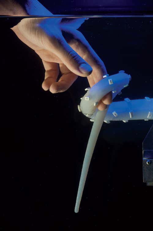 Gently does it: the octobot knows how to shake your hand