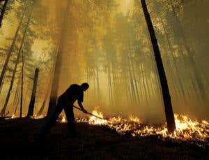 New Scientist. Science news and long reads from expert journalists, covering developments in science, technology, health and the environment on the website and the magazine.