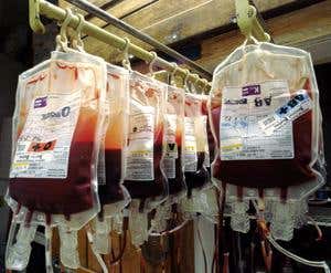 New Scientist. Science news and long reads from expert journalists, covering developments in science, technology, health and the environment on the website and the magazine.