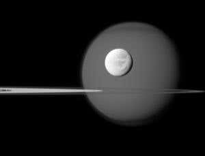 New Scientist. Science news and long reads from expert journalists, covering developments in science, technology, health and the environment on the website and the magazine.