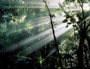 New Scientist. Science news and long reads from expert journalists, covering developments in science, technology, health and the environment on the website and the magazine.