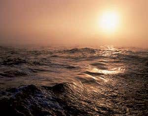 New Scientist. Science news and long reads from expert journalists, covering developments in science, technology, health and the environment on the website and the magazine.