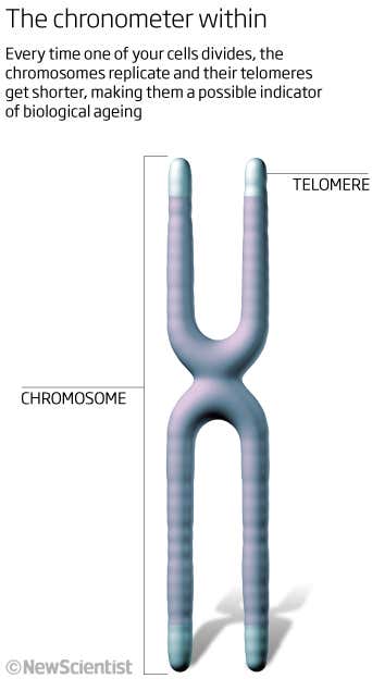 The chronometer within