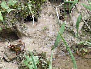 New Scientist. Science news and long reads from expert journalists, covering developments in science, technology, health and the environment on the website and the magazine.