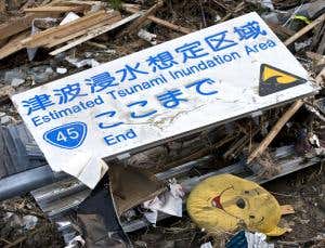 Huge tsunami made Japanese blasé about smaller waves