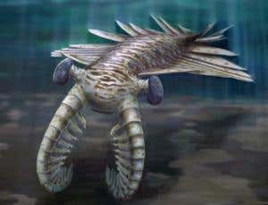 New Scientist. Science news and long reads from expert journalists, covering developments in science, technology, health and the environment on the website and the magazine.