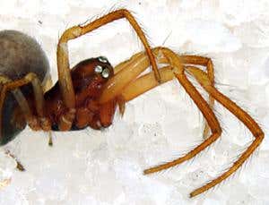 New Scientist. Science news and long reads from expert journalists, covering developments in science, technology, health and the environment on the website and the magazine.