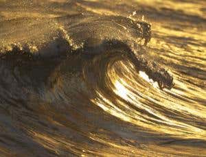 New Scientist. Science news and long reads from expert journalists, covering developments in science, technology, health and the environment on the website and the magazine.