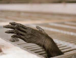 New Scientist. Science news and long reads from expert journalists, covering developments in science, technology, health and the environment on the website and the magazine.