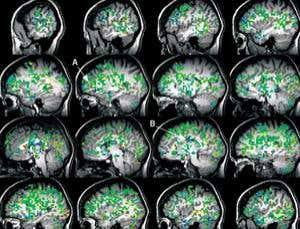 2011 review: The year in health science