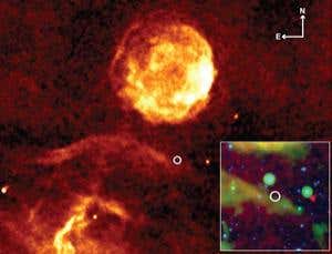 New Scientist. Science news and long reads from expert journalists, covering developments in science, technology, health and the environment on the website and the magazine.