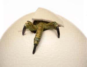 2011 review: The year in life science