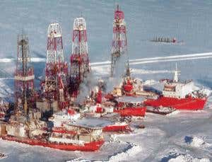 Hunting for black gold in the oil and gas industry