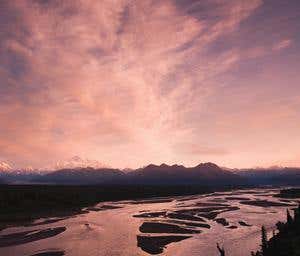 New Scientist. Science news and long reads from expert journalists, covering developments in science, technology, health and the environment on the website and the magazine.