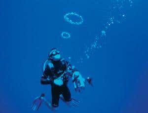 Memory: How memories are made