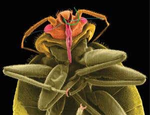 New Scientist. Science news and long reads from expert journalists, covering developments in science, technology, health and the environment on the website and the magazine.