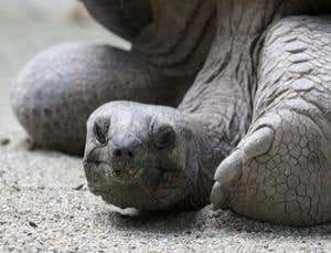 New Scientist. Science news and long reads from expert journalists, covering developments in science, technology, health and the environment on the website and the magazine.