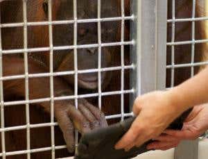 New Scientist. Science news and long reads from expert journalists, covering developments in science, technology, health and the environment on the website and the magazine.