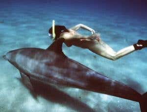 Enter a dolphin's fluid, hyper-social consciousness