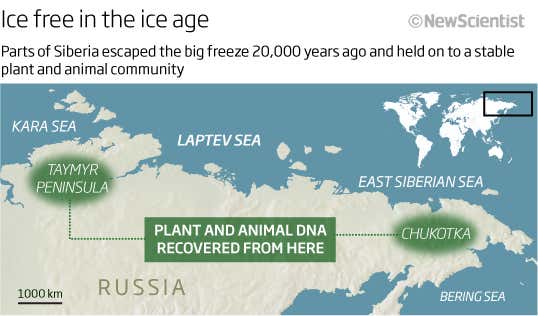 Ice free in the ice age