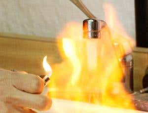 New Scientist. Science news and long reads from expert journalists, covering developments in science, technology, health and the environment on the website and the magazine.