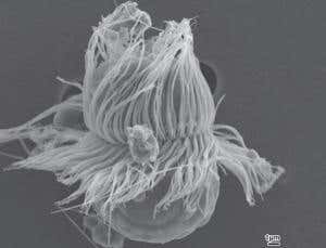 New Scientist. Science news and long reads from expert journalists, covering developments in science, technology, health and the environment on the website and the magazine.