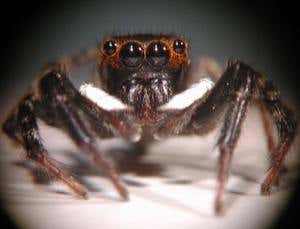 New Scientist. Science news and long reads from expert journalists, covering developments in science, technology, health and the environment on the website and the magazine.